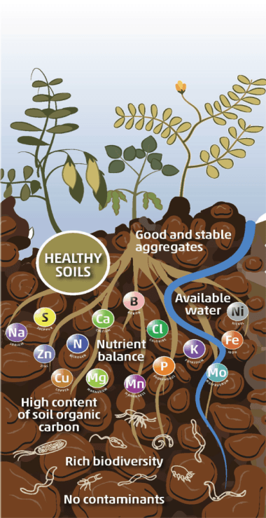 GROUND IMPROVER CREATING EFFECTIVE SOLUTION TO SALINIZATION