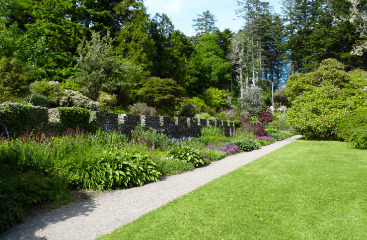 GET AHEAD WITH GROUND IMPROVER