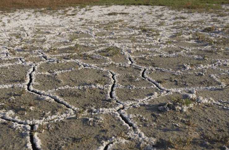 LAND SALINITY OVERVIEW