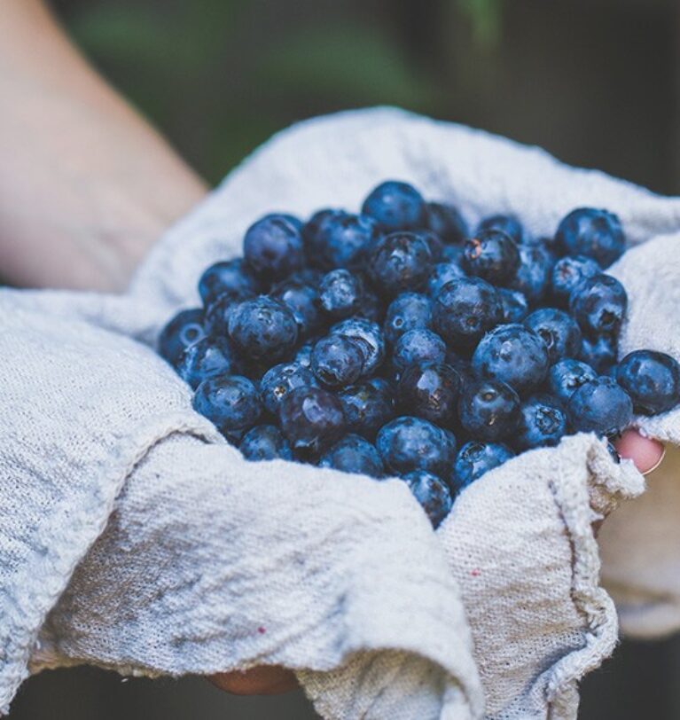 Superalimentos que deberías comer